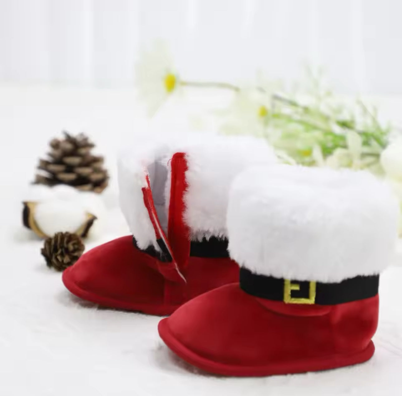 Santa Claus Shoes