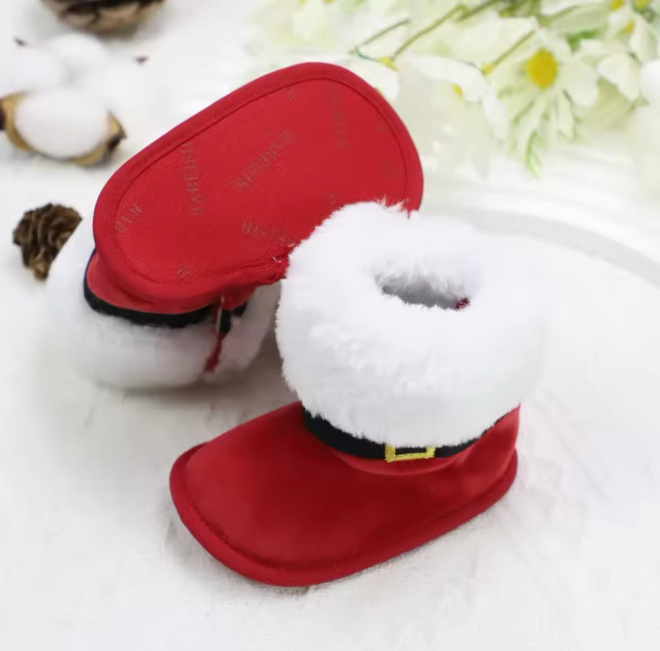 Santa Claus Shoes