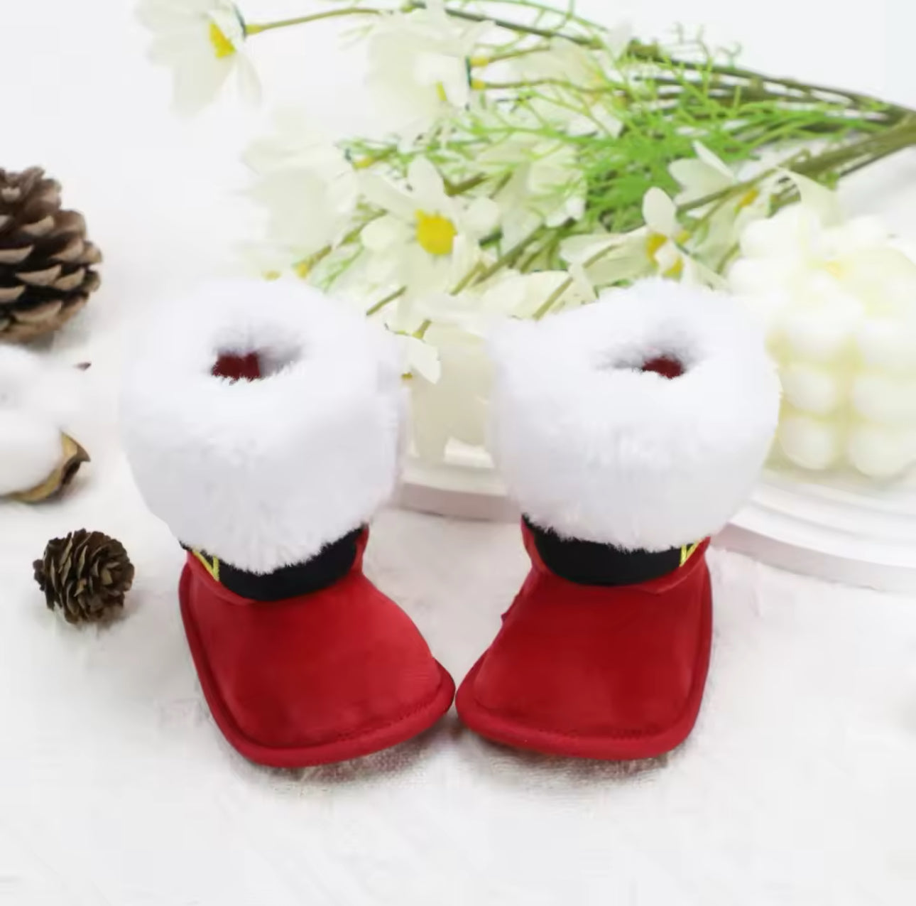 Santa Claus Shoes